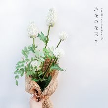 화이트 아이론위드 flower 핸드타이드 [시들지 않는 꽃 Japan 하이퀄리티 조화 꽃다발 인테리어 플랜테리어]